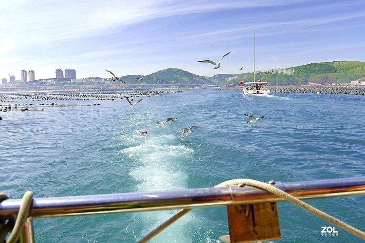 慢游东三省之三 大连旅顺水产品养殖场拍海鸥记