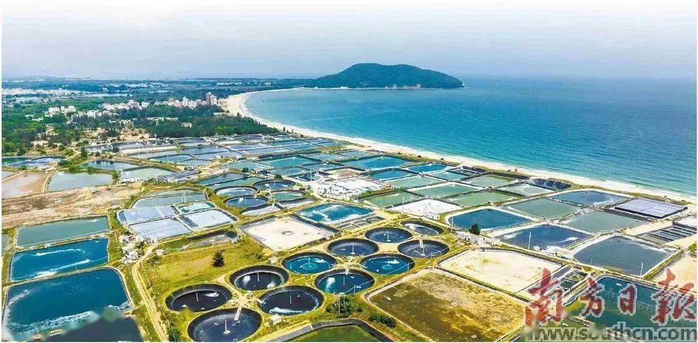 广东水产品总产量和水产养殖产量稳居全国第一_现代化_海洋_建设